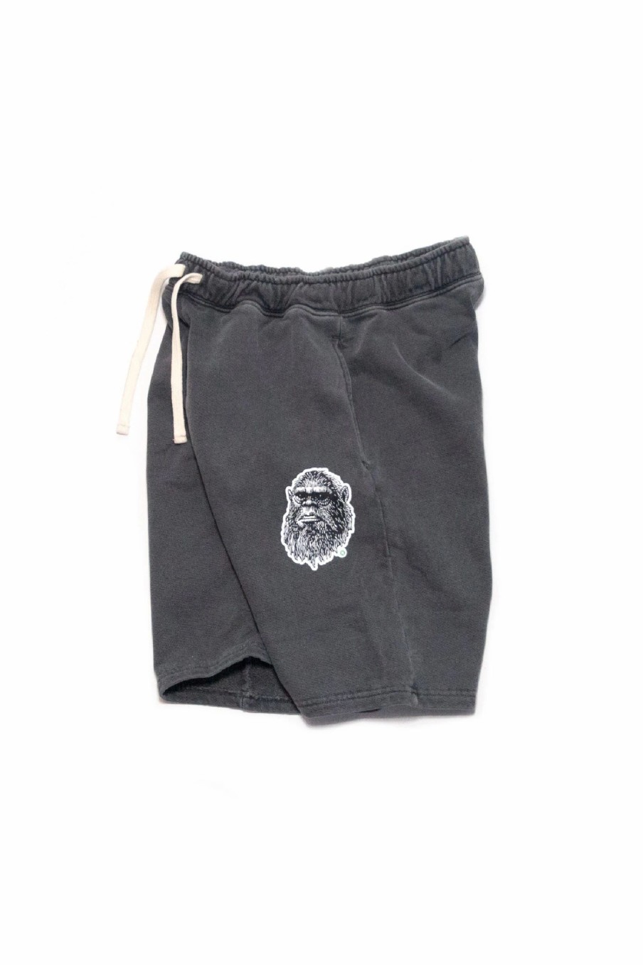 Apparel * | Arkansocks Mugshot X Standard Issue Sweathshorts (Charcoal Grey)