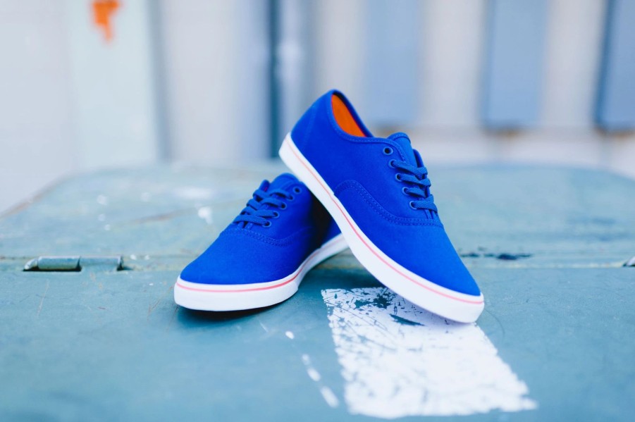 Sneakers * | Wmns Vans Authentic Lo Pro (Blueprint/Camellia)