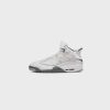 Sneakers * | Air Jordan Dub Zero (White/Cool Grey)