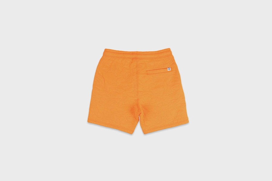 Apparel * | Billionaire Boys Club Bbc Maze Shorts (Carrot)